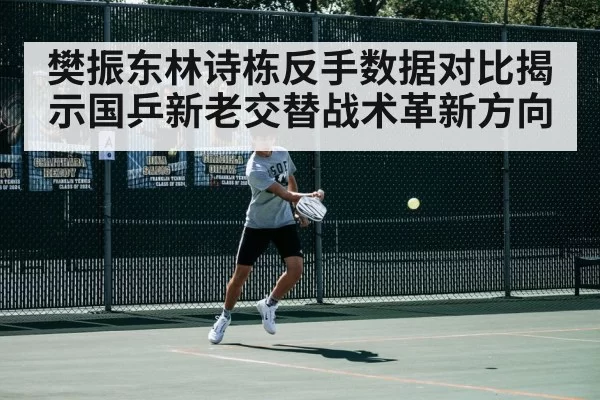 樊振东林诗栋反手数据对比揭示国乒新老交替战术革新方向